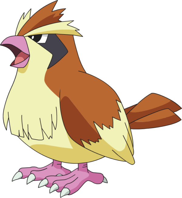 evolucion-de-pidgey-pequeño
